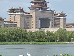 -莲花池公园