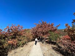 -北京十三陵国家森林公园蟒山景区