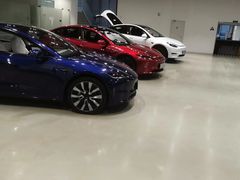 -TESLA 特斯拉(深圳观澜特斯拉直营钣喷中心)