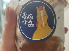 -春丽小马(济南恒隆广场店)