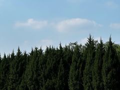 -汉长安城未央宫国家考古遗址公园