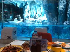 -帝企鹅自助餐厅•儿童岛•真企鹅(长隆企鹅酒店)