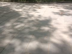 -望江楼公园