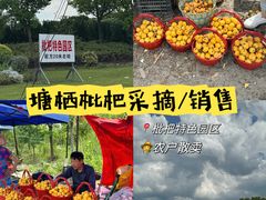 -塘栖枇杷特色园区