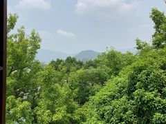 -溪口-滕头旅游景区