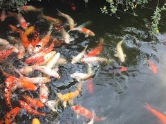 -东部华侨城