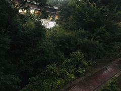 -上海市保健医疗中心(华东疗养院)