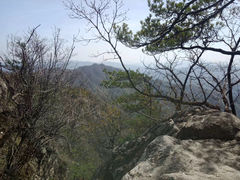 -王顺山国家森林公园