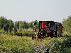 -西青郊野公园