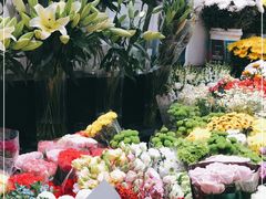 -双季花艺园艺市场(浦东店)