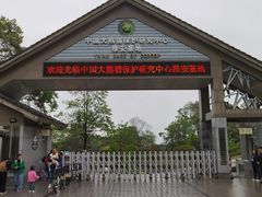 -中国大熊猫保护研究中心雅安碧峰峡基地
