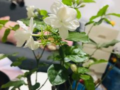 -望湘园·洞庭渔宴(永旺店)