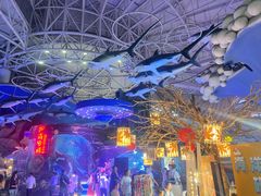 -烟台海昌鲸鲨海洋公园