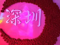 -深圳独角兽星空艺术馆