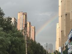 -长白岛森林公园