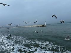 -威海国际海水浴场旅游区