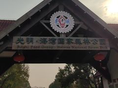 -上海海湾国家森林公园