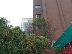-武汉市洪山区武珞路小学