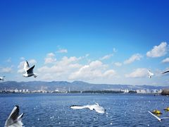 -滇池海埂公园