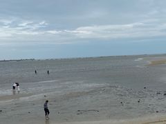 -北海金海湾红树林生态旅游区