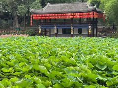 -房湖公园