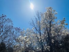 -北京西山国家森林公园