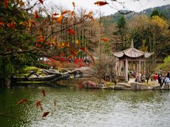 -四明山国家森林公园