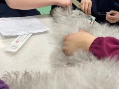 -北京观赏动物医院·24小时大型综合·猫专科·异宠专科