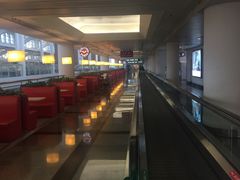 -厦门高崎国际机场-T3航站楼