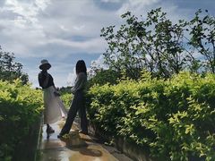 -亚龙湾国际玫瑰谷