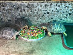 -上海大自然野生昆虫馆