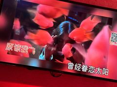 -酷秀KTV(五道口店)