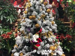 -草原塞蛮羊火锅城(港湾店)