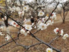 -水濂山水库景点停车场