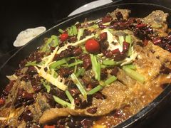 -老板恋上鱼(恒隆广场店)