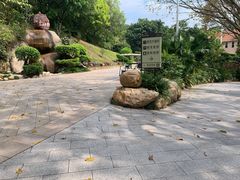 -雁南飞茶田景区