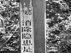 -西双版纳原始森林公园