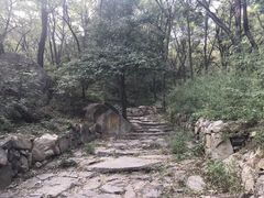 -阳台山自然风景区