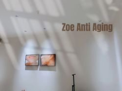-紫御国际抗衰ZOE ANTI AGING