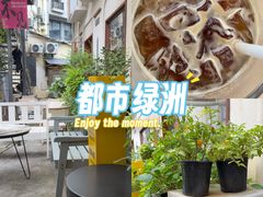 -北极阁公园