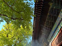 -红螺寺