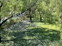 -北京麋鹿生态实验中心