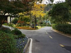 -杭州花家山庄