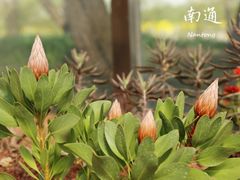 -南通洲际绿博园