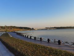 -深圳湾公园(南山区)