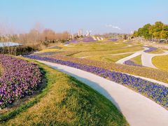 -南通洲际绿博园