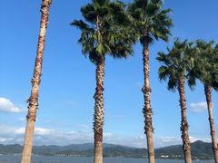 -东钱湖旅游度假区