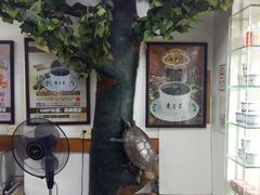 -海天堂(玉带濠店)