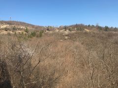 -白水寺森林公园
