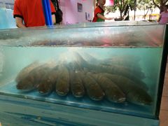 -东川新街市(东川市场店)